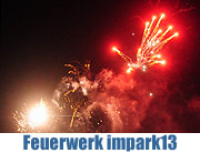 nach 21.00 Uhr Feuerwerk über dem Olympiasee beim impark13 Sommerfest  (©Foto: Ingrid Grossmann)